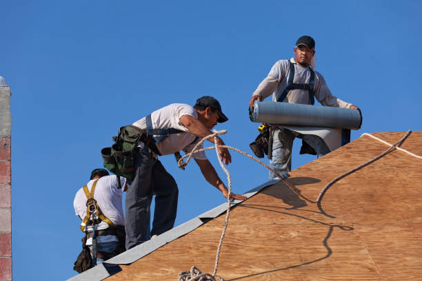 Best Roof Maintenance Services  in Weaverville, CA